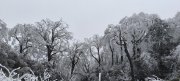 邵阳城步：漫山遍野裹银装 冬雪雾凇美如画